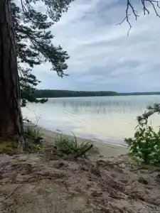 Белое озеро - 44