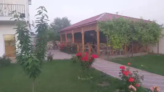 Лето - 41