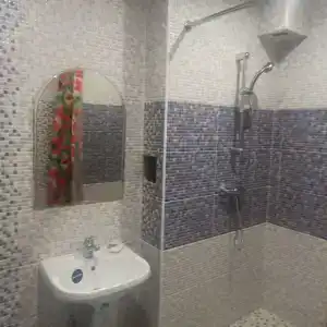 Сосны - 28