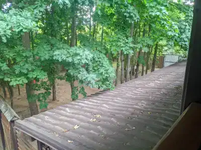 Амбер - 0