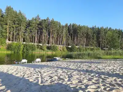 Галдым - 41
