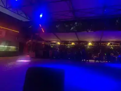 Золотая вилка - 21