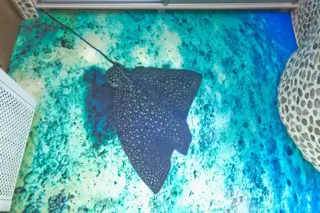 Ленивый Дельфин - 47