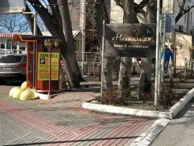 Компас Магнолия - 43