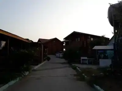 Гвоздика - 2