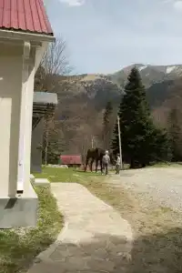 Клуб Отдыха на Женьшеневой Поляне - 3