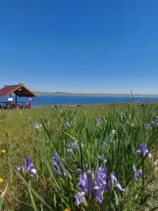 Русская деревня - 3