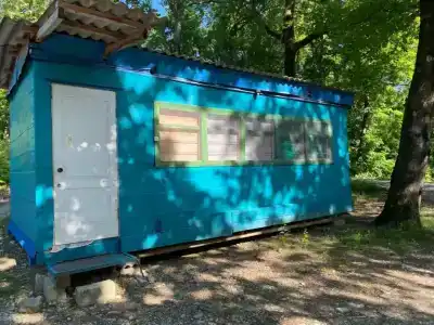 Лесная сказка - 2