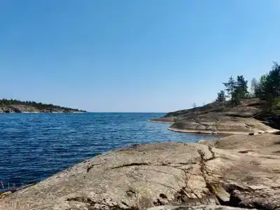 Saari - 26