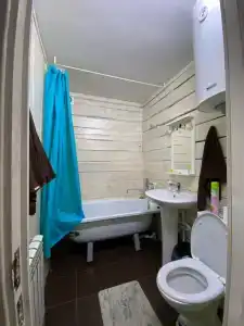 Капибара - 22