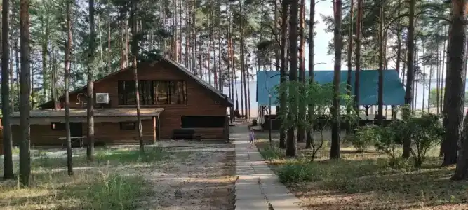 Сосновый бор - 67