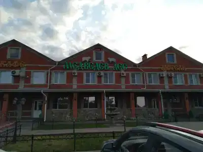 Медведев лес - 11