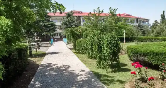 Рябинка - 9