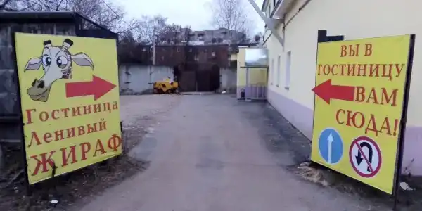 Ленивый жираф - 0
