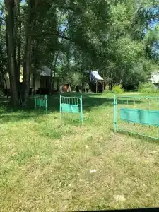 Оц Луч - 8