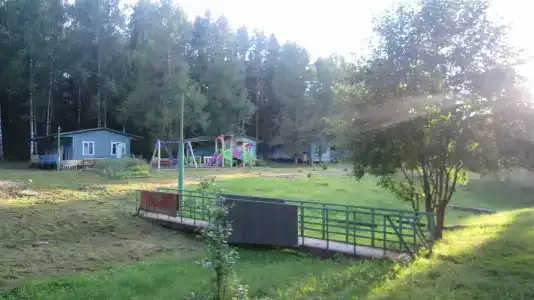 Лесной Родник - 91