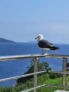 Гостиничный комплекс Теплое Море - 96