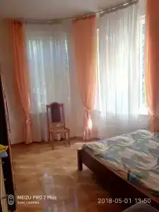 Сосна и Пальмы - 12
