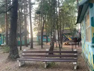 Олимпия - 24