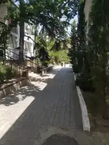 Сокол - 64