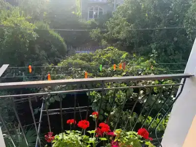 Светлячок - 38