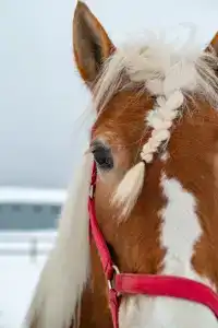 Эко клуб на Ферме - 27