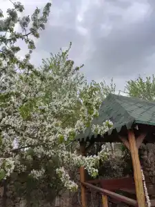 Эль Пабло - 4
