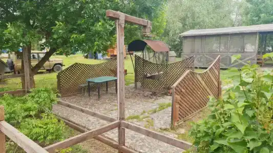 Розовый Фламинго - 21