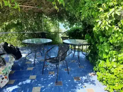 Замок грез - 28