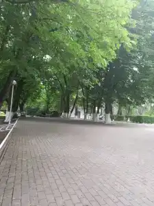 Энергетик - 21