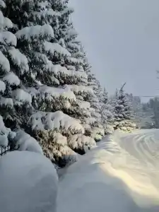 Лапландия - 3