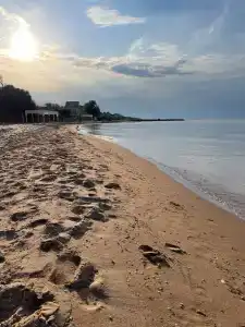 7 Ветров - 4