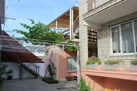 Янис - 8