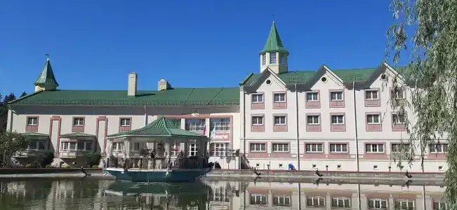 Богородское - 0