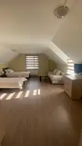 Коди Ярви - 65