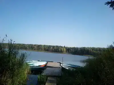 Оредеж - 46