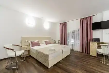 Simple Bon Voyage - 1