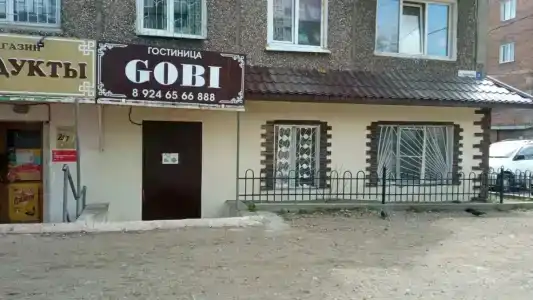 Gobi - 1
