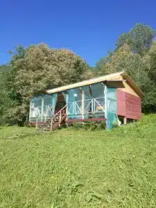 Мечта - 1