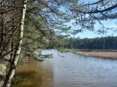 Белый Дельфин - 12