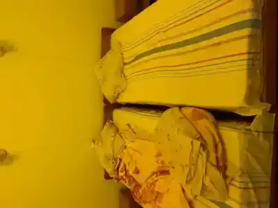 Зефир - 2