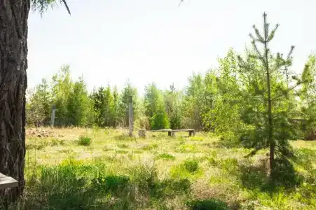 Байкальский сердолик - 1