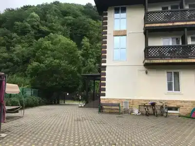 Каштан - 42