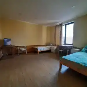 Феникс - 13