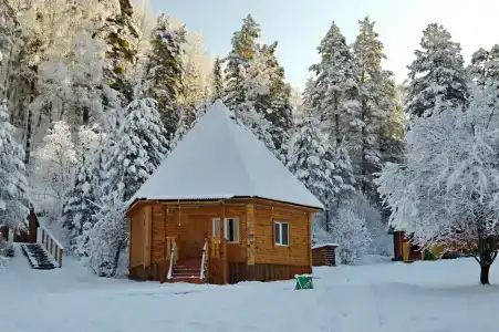 Шушенский бор - 5