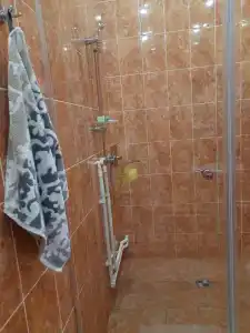 Ирис - 12