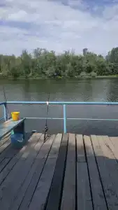 Бодрость - 60