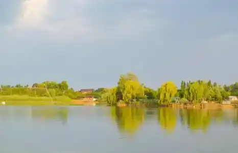 Кураж - 1