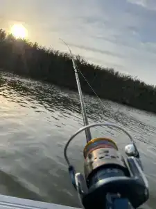 Fat Fish - 14