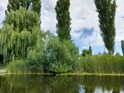 Ласточка - 25